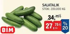 SALATALIK KG